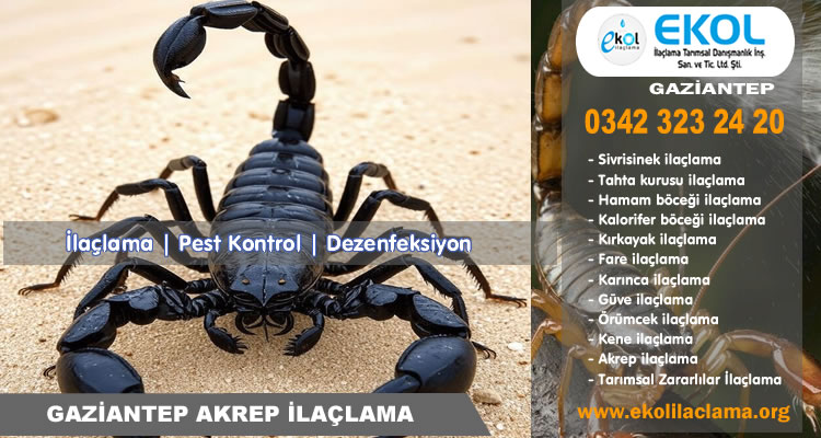 Gaziantep Akrep İlaçlama Hizmeti