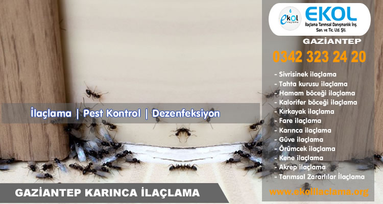 Gaziantep Karınca İlaçlama Firması