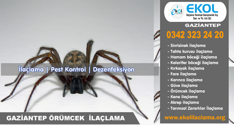 Gaziantep Örümcek İlaçlama